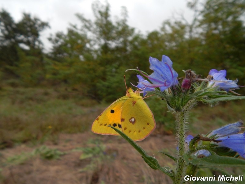 Parco del Ticino: incontri del 12.10.14